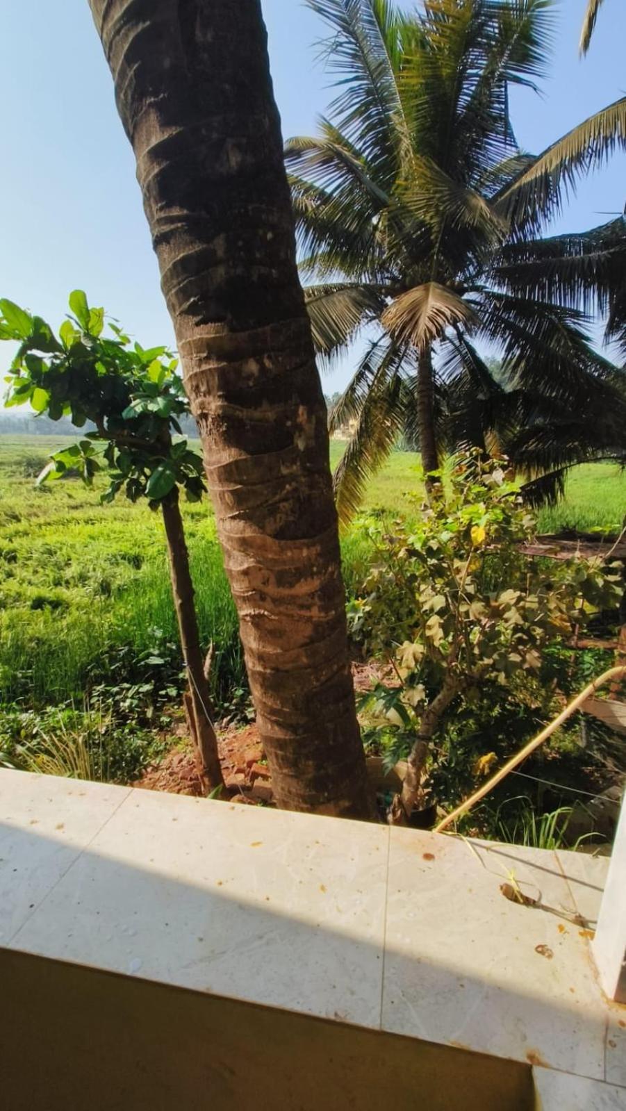 Hotel Green Field View Candolim Exterior foto