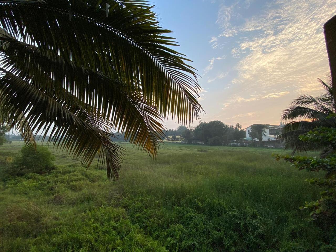 Hotel Green Field View Candolim Exterior foto